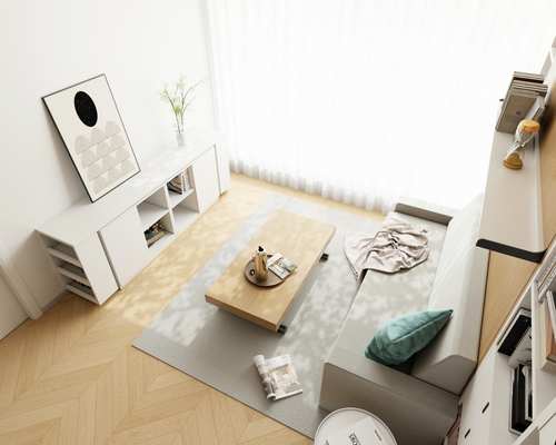 Cuddle Wall Bed with Sofa